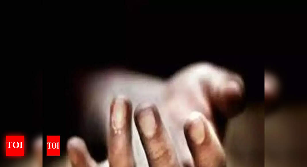 Two burnt alive as car catches fire after hitting divider | Udaipur ...