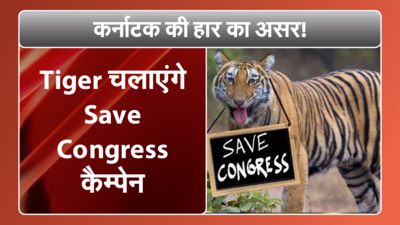 Humour: Tigers start ‘Save the Congress’ campaign fearing party's extinction