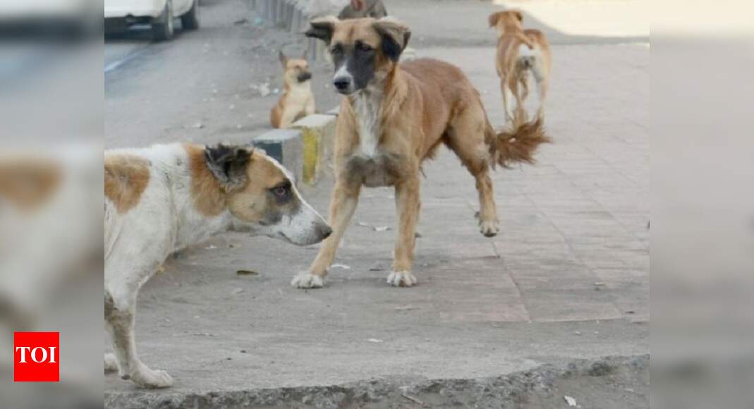 Telangana Stray Dogs 100 stray dogs culled in Telangana, case filed