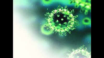 Steps taken to contain Nipah virus, assures Kerala govt