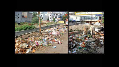 Collectors missing, trash rots on roads