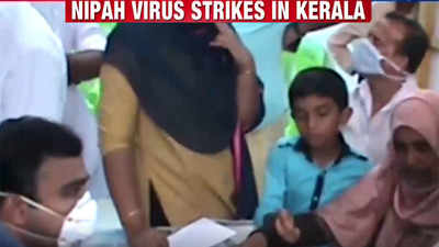 Watch: Nipah virus claims nine lives in Kerala's Kozhikode