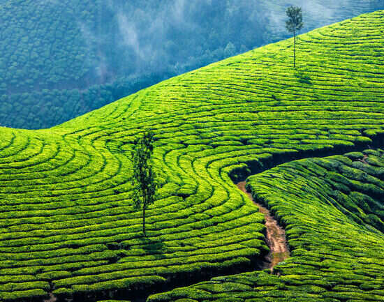 Munnar
