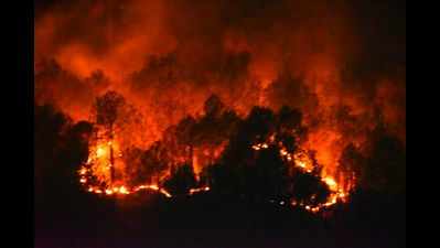 Forest fires rage in Garhwal & Kumaon, 70 hectares lost in 2 days