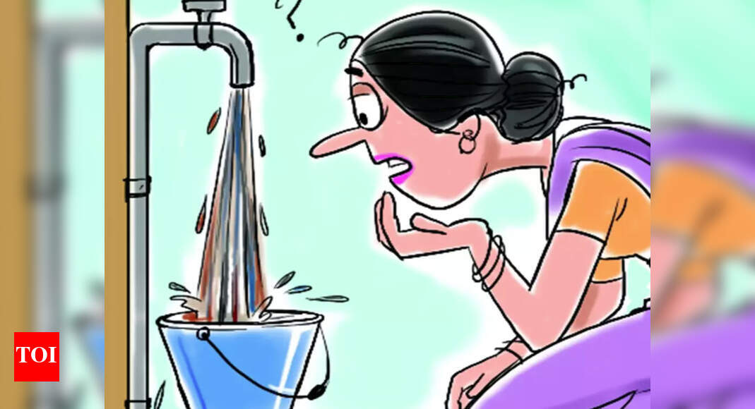 Delhi suffers as Haryana misses water share deadline Delhi News