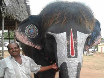 ఏనగ వటరకలత చసన ఉగర పటటకట  Benefits of Elephant Hair  Ring in Telugu  YouTube