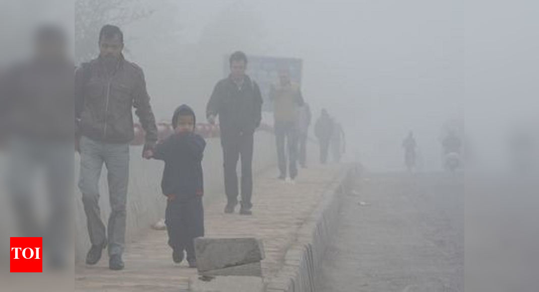 Pollution kills 4,000 every year in Lucknow Lucknow News Times of India