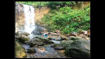 Locals seek dose of rejuvenation for Kesarval spring | Goa News - Times ...