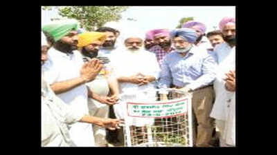 Tree plantation drive begins in Amritsar