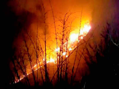 Repeat of 2016? 2000 ha forests burnt in Uttarakhand, fires still raging