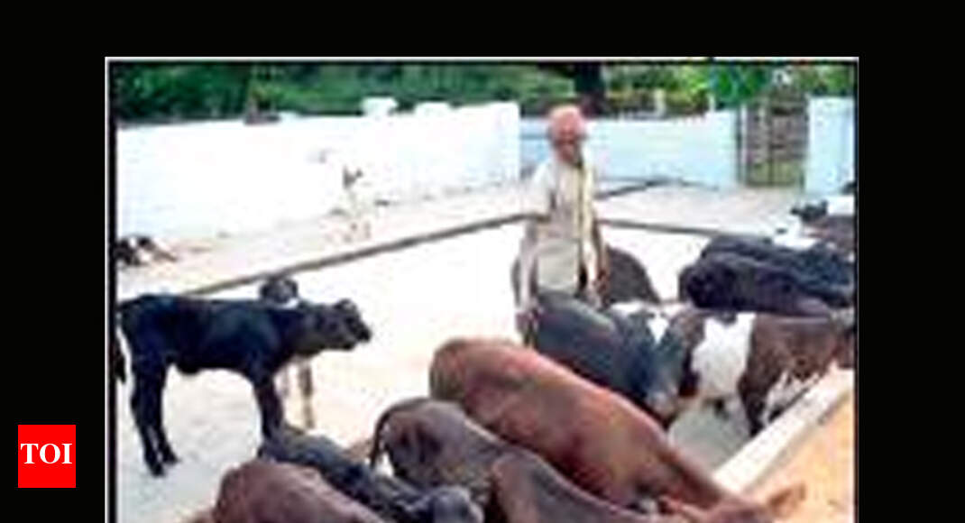129year military dairy farm to close down Allahabad News Times of