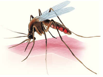 District administration strengthens anti-dengue drive