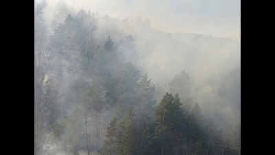Jammu: Forest fire in Trikuta hills, 25,000 Vaishno Devi pilgrims stranded