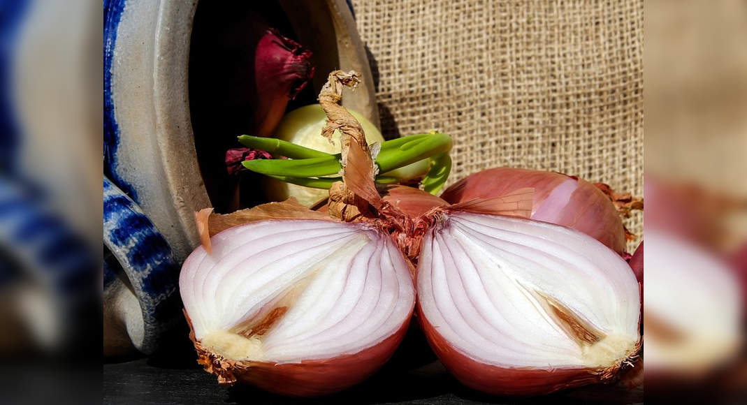 Does Keeping Onion In The Pocket Really Protect You From Heat Stroke The Times Of India