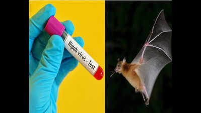 Nipah virus: Rising cancellations ring alarm bells for travel firms