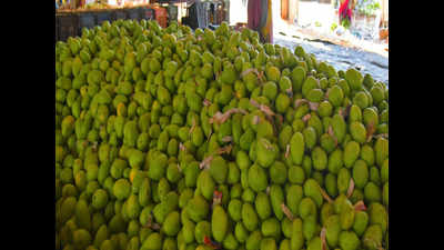 Desi and exotic mango varieties, jackfruit draw visitors in droves