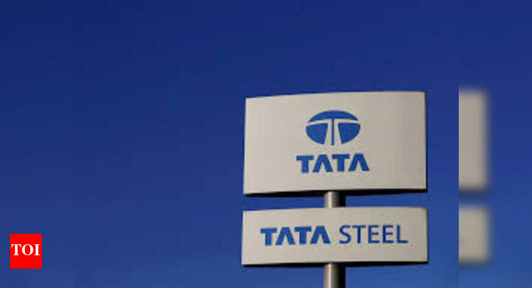 Bhushan Steel Q4 Results Bhushan Steel seeks 90 days extension to file