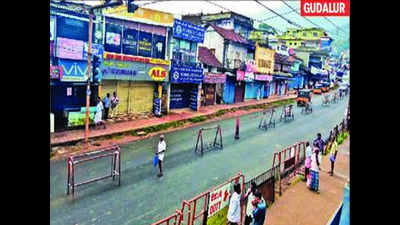 12-hour bandh hits tourism in Ooty, Coonoor
