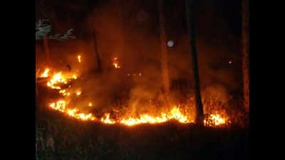 IAF choppers help douse fire in Kasauli forest
