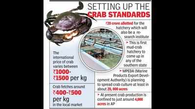 Int’l mud-crab hatchery to come up in Guntur with central funds