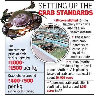 Crab farming business plan picture