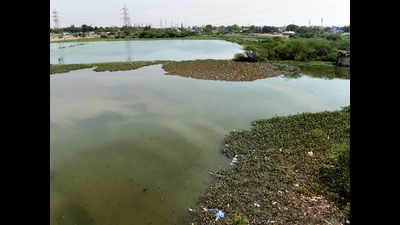 NGOs, CII to restore 22 ponds in Sholinganallur