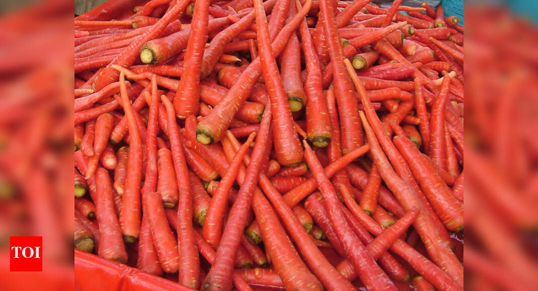 Abundant carrot harvest brings down prices Coimbatore News Times of