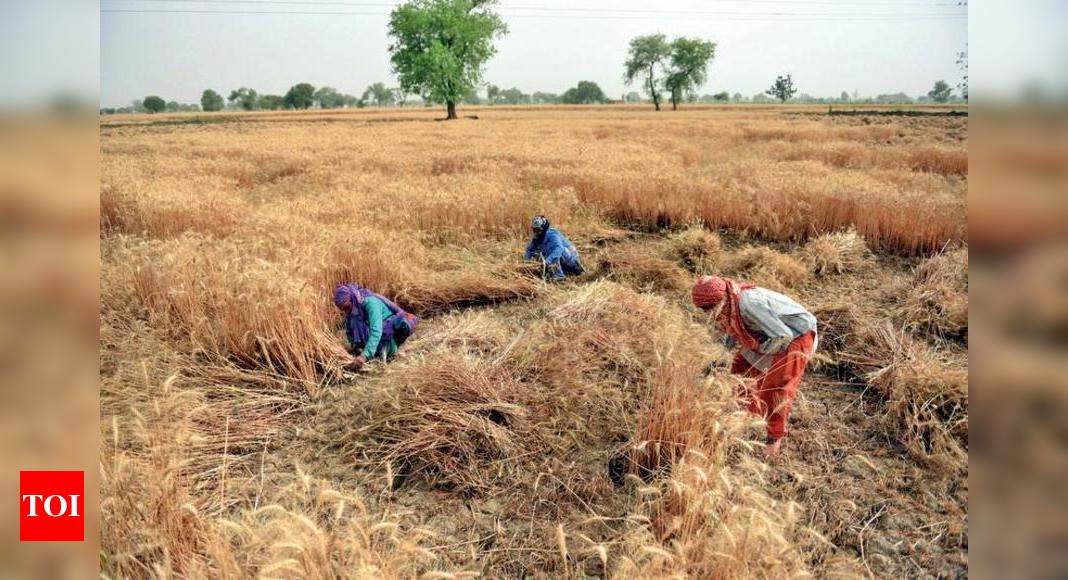 Process to acquire land for Jewar airport begins | Noida News - Times of  India