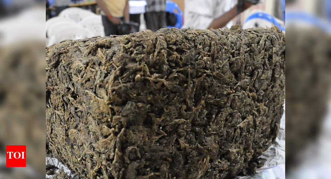 Car from Odisha caught in Kolkata with 60 kg ganja Bhubaneswar News Times of India