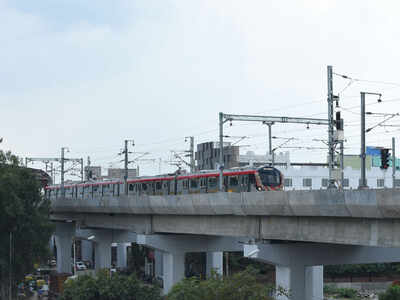 Essay on caught in a metro snag picture