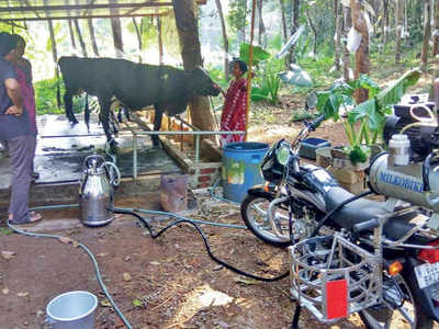 57 Modified Bikes In Kerala  Best Free