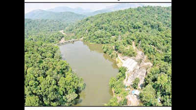 Small hydropower units making big impact on Western Ghats