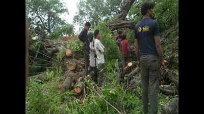 Storm lashes Agra, 7 hurt in wall collapse in Kasganj