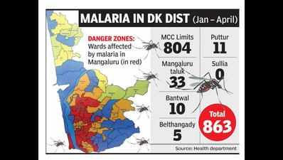 18 wards of Mangaluru declared high-risk areas for malaria