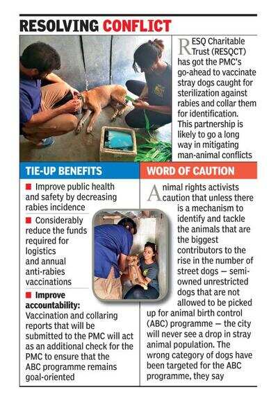 City NGO extends anti-rabies drive to PMC pounds | Pune News - Times of ...