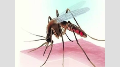 18 wards of Mangaluru declared high-risk areas for malaria