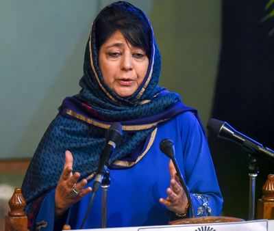 'Stop the bloodshed': Mehbooba Mufti on fresh ceasefire violation