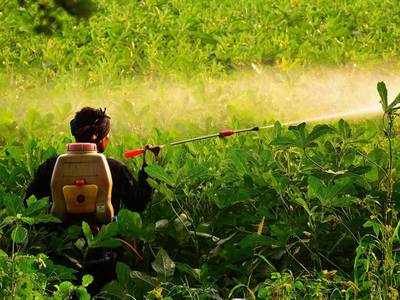 Ban on hazardous pesticides can bring down suicide deaths, international experts tell India