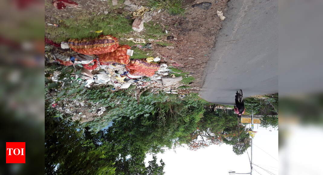 Dum Dum Metro Railway Rd Garbage Dumping Centre Times Of India