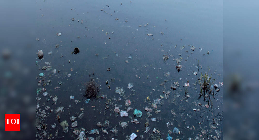 Gomti River Cleanest Gomti bank losing its charm to filth and