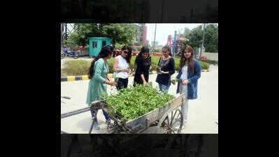 Noidawallahs plant saplings to mark World Environment Day