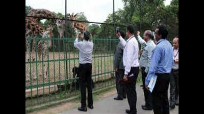 31 animals find ‘parents’ at Alipore zoo