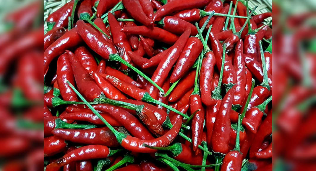Bird's eye chili has suddenly become expensive! Here's what must know about it The Times of India