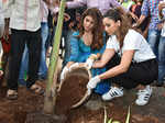 Celebs participated in tree plantation drive