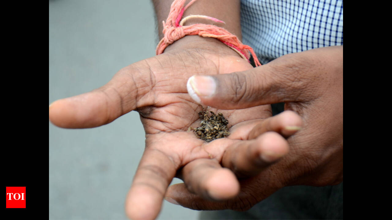 Bihar wants 'khaini' covered under food safety Act | Patna News