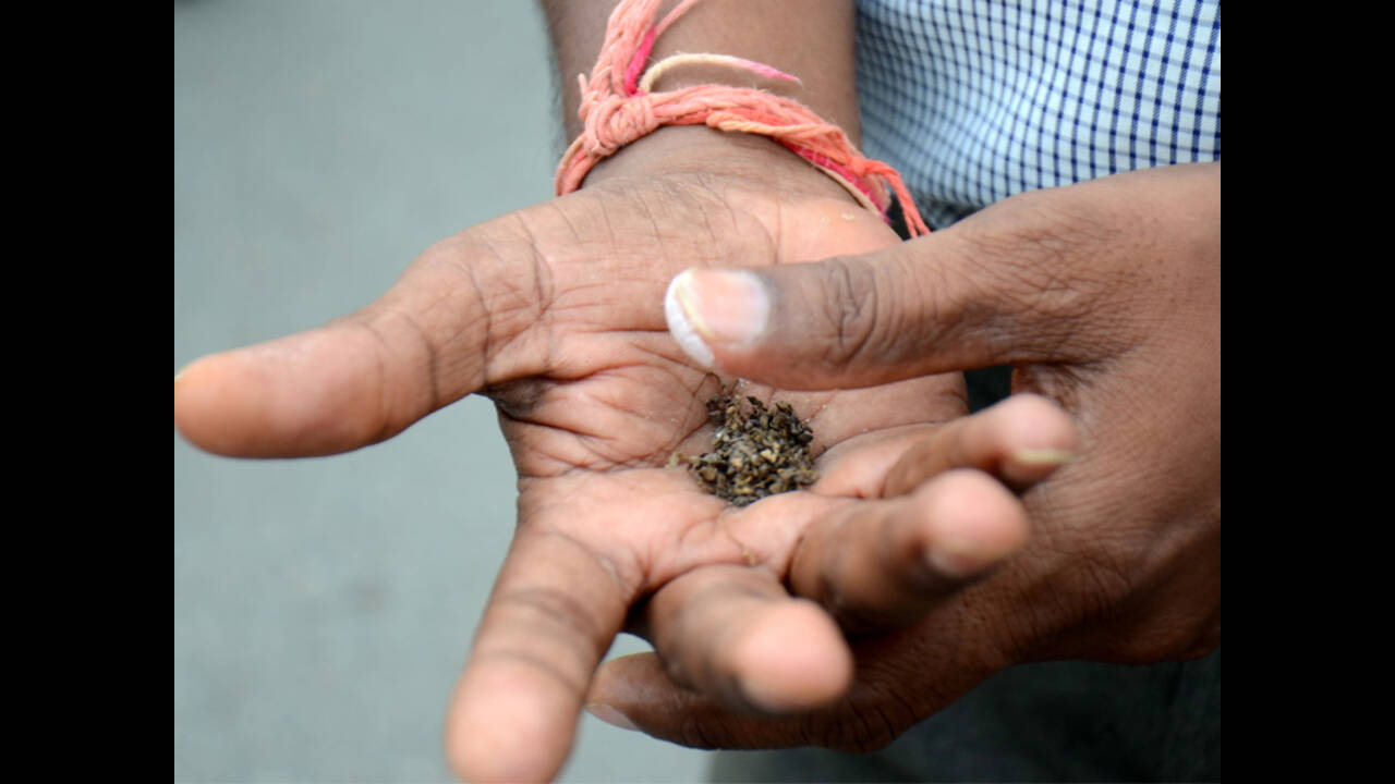 tobacco eating Bihar wants 'khaini' covered under food safety Act | Patna News