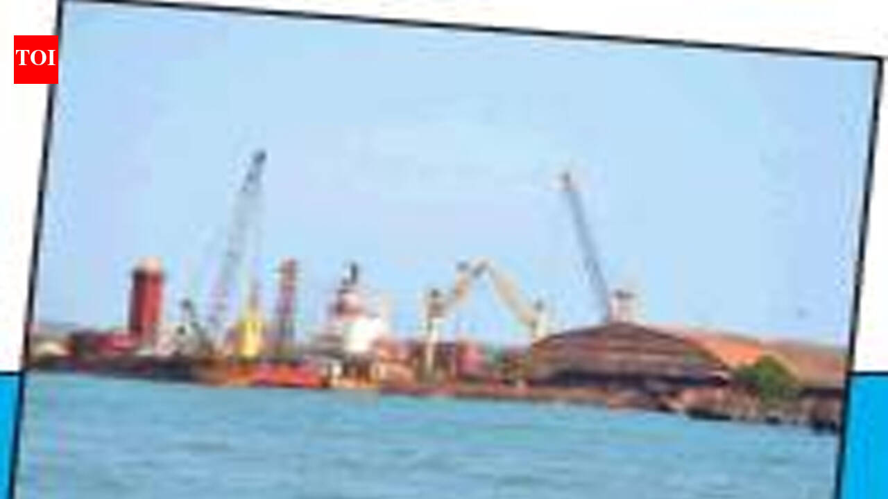 Goa scrutinising impact of Major Port Authorities Bill | Goa News - The ...