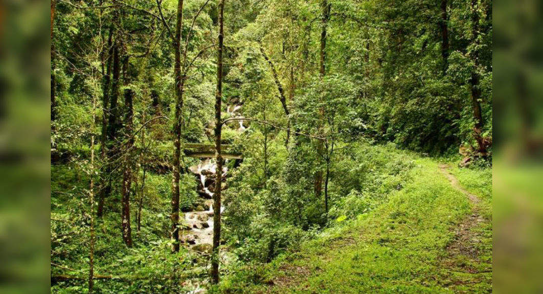 west bengal forest tourism booking