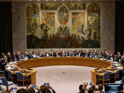 UN Security Council elects Germany, Indonesia, South Africa and 2 others as new members