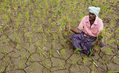 Indebted: Karnataka farmers owe Rs 1.2 lakh crore, equal to 10% of GSDP